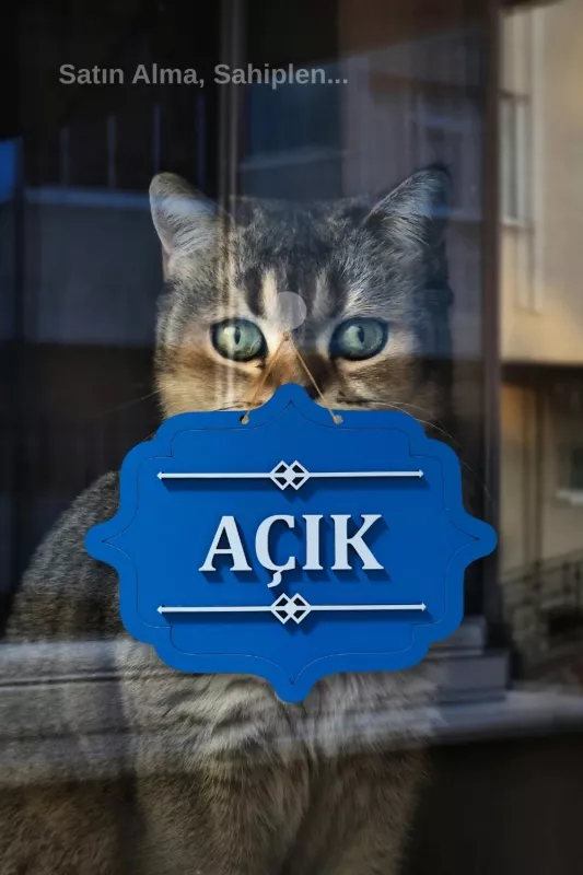 Ahşap Dekoratif Kesim Açık-Kapalı Yazısı -Saks