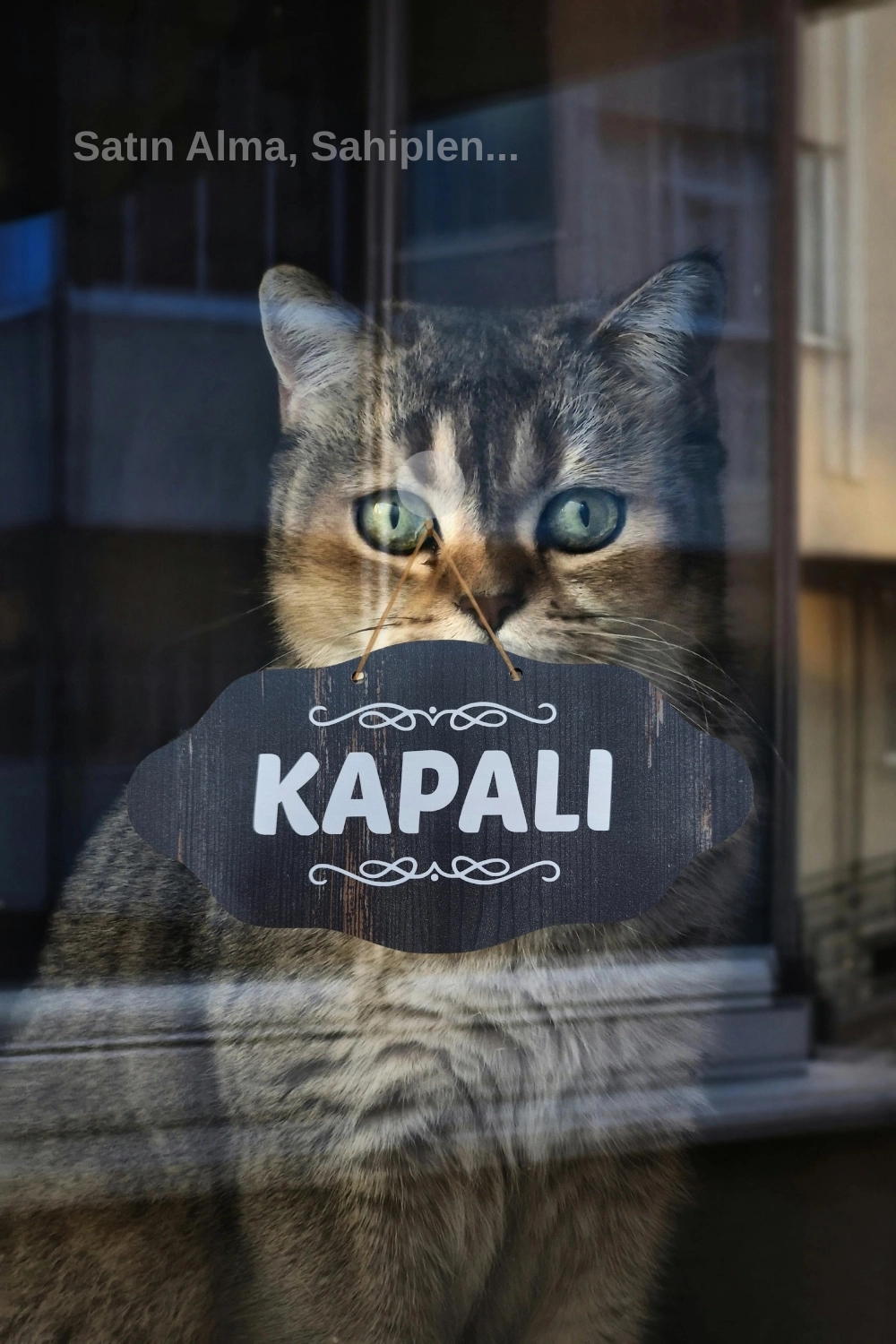 Dekoratif AÇIK-KAPALI Tabelası – Jüt İp ve Vantuz Hediyeli - Rebap