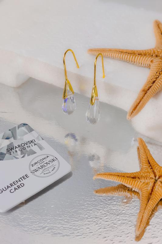 Swarovski Taşlı 6600 Classıc Drop Küpe - JanJan